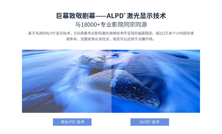 D30详情2.jpg