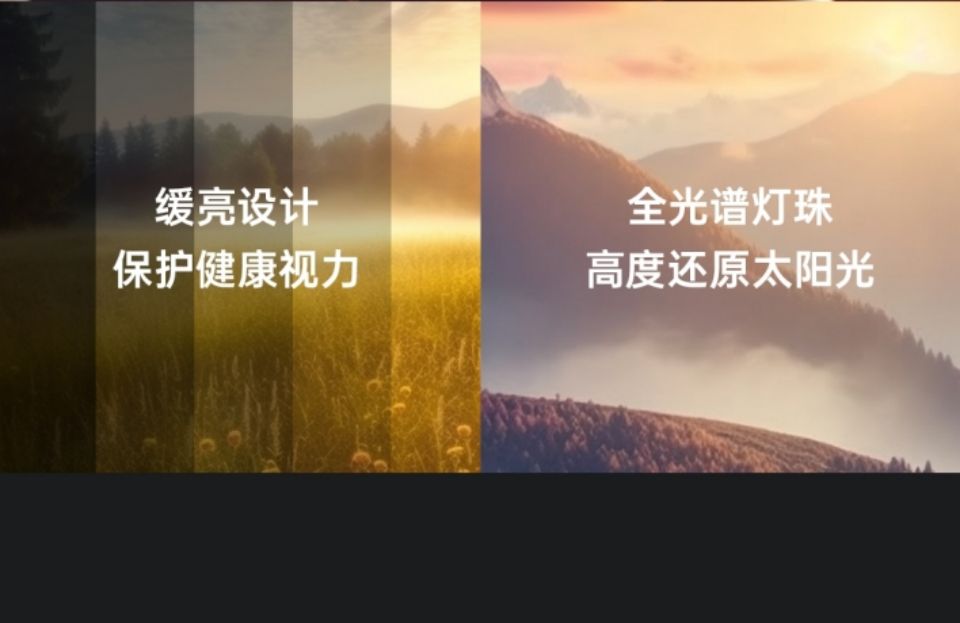 Z1非智能灯详情图4.jpg