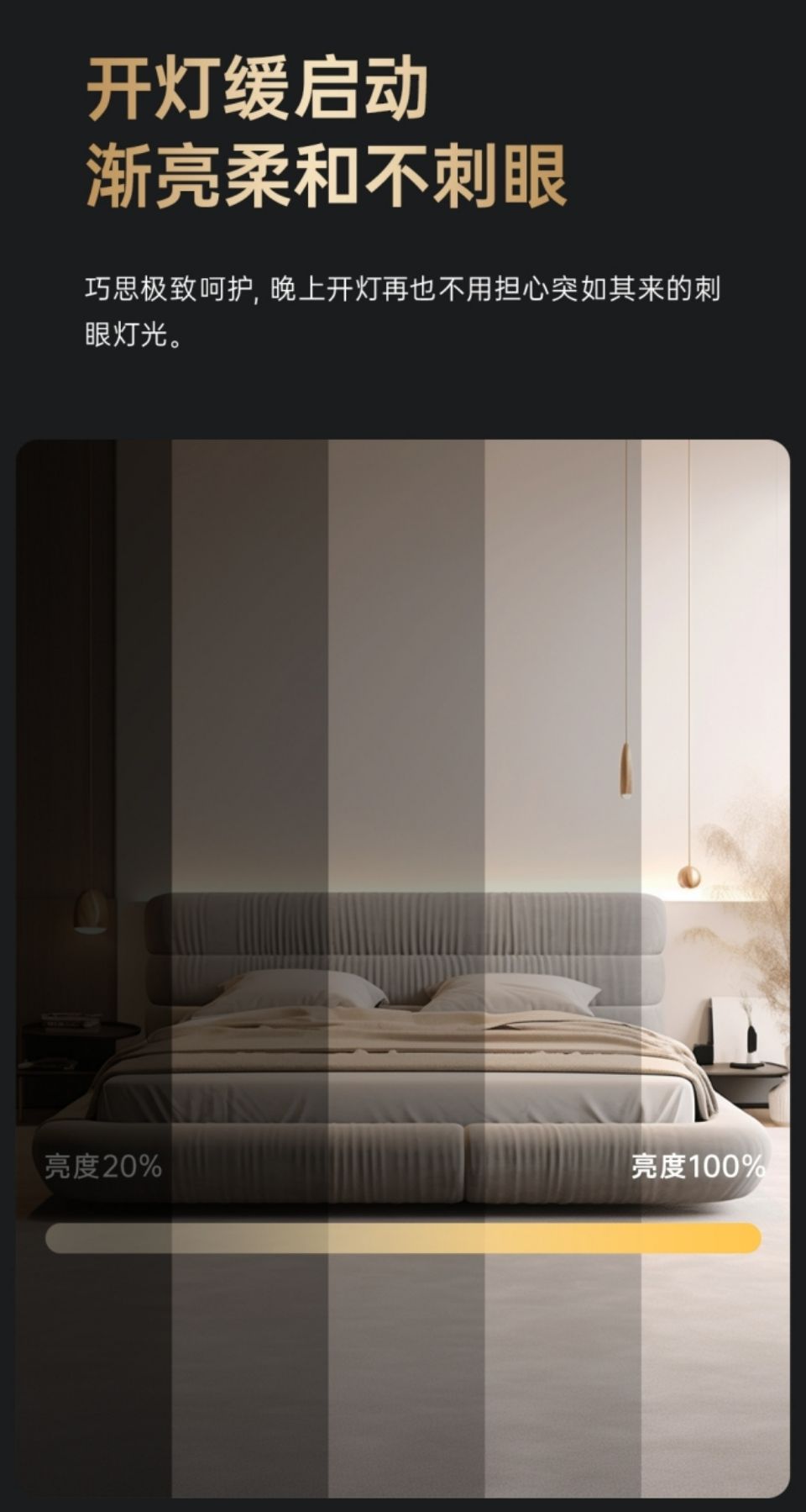 Z1非智能灯详情图6.jpg