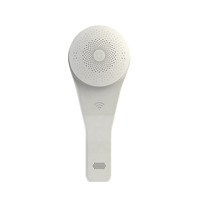 米家多功能网关4G定制版 传翔出品